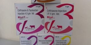 Allopathic Pcd Pharma Franchise