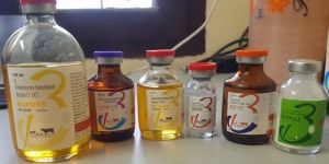 Pcd Pharma Franchise