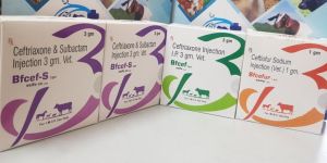 Veterinary PCD Pharma Franchise