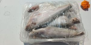Frozen Pabda Fish