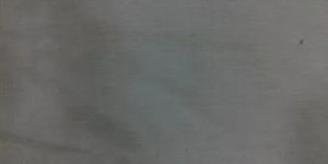 Grey Cotton Lurex Fabric