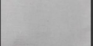 Grey Super Semi Cotton Fabric