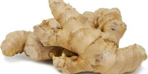 Fresh Ginger