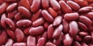 Red Rajma