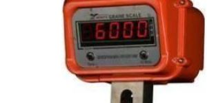 Remote Control Crane Scales