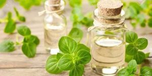 Oregano Oil