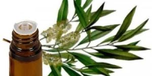 Tea Tree Oil