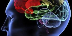 Neurological Physiotherapy Services