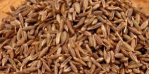 Cumin Seeds