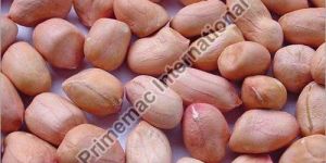 Groundnut Seeds