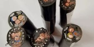 6 Sq Mm 2 Core Copper LT XLPE Armoured Cable