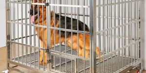Dog Cage