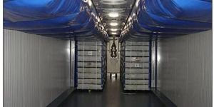 Banana Ripening Chamber Fabrication & Installation Service