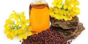 Mustard Oil