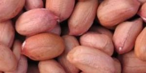 Bold Peanuts Kernels