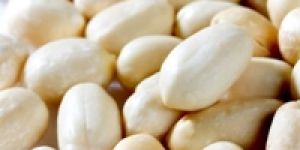White Pure Groundnut Oil Seed