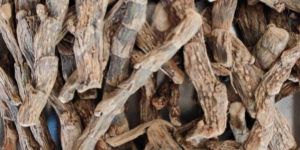 Gudbach Vacha Acorus Calamus