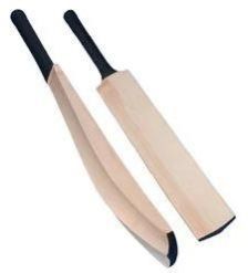 English Willow Cricket Bat