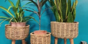 Seagrass Planters Set