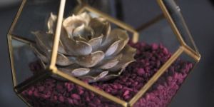 Stylish Glass Terrarium