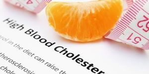 Cholesterol Diet Consultation Service