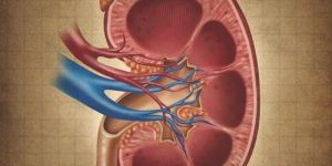 Chronic Kidney Diseases Consultancy Service