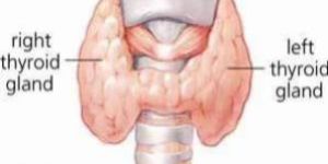 Thyroid Consultation Service