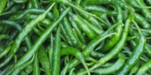 G4 Green Chilli