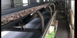 Roller Belt Conveyor