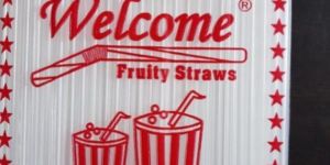 Plastic Fruity Drinking Straw