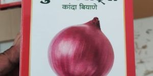 Purna Onion Seeds