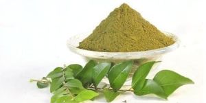Dehydrated Curry Leaves Powder