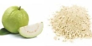 Spray Dried Guava Powder