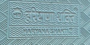 Haryana Shakti Cow Mat