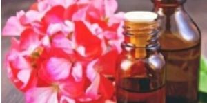 Rose Geranium Essential Oil