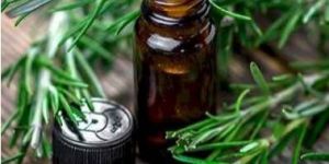 Rosemary Essential Oil