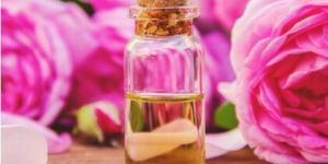 Rosewood Essential Oil