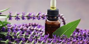 Sage Oil