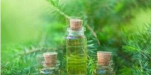 Tea Tree Essential Oil