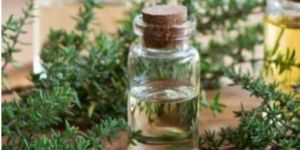 Thyme Essential Oil