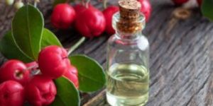 Wintergreen Essential Oil
