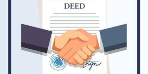 Partnership Firm Agreement Drafting Work