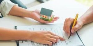 Property Cancellation Deed Drafting Work