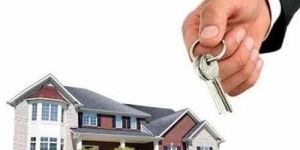 Property Search Assistance Service