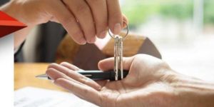 Property Transfer Deed Drafting Work