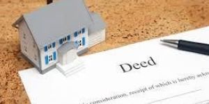 Property Will Deed Drafting Work