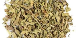 Dried Tulsi Leaves