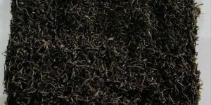 Small Wonder Leaf Tea