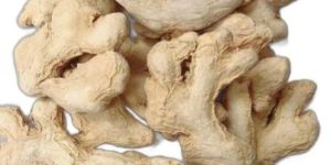 Whole Dried Ginger