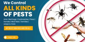 Mosquito Control Services
